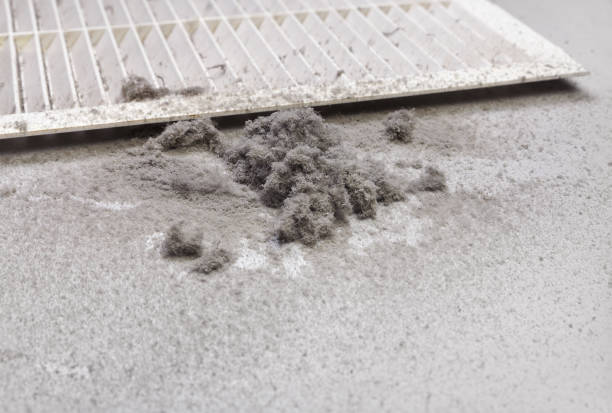 Best Affordable Air Duct Cleaning  in Middlesex, NC